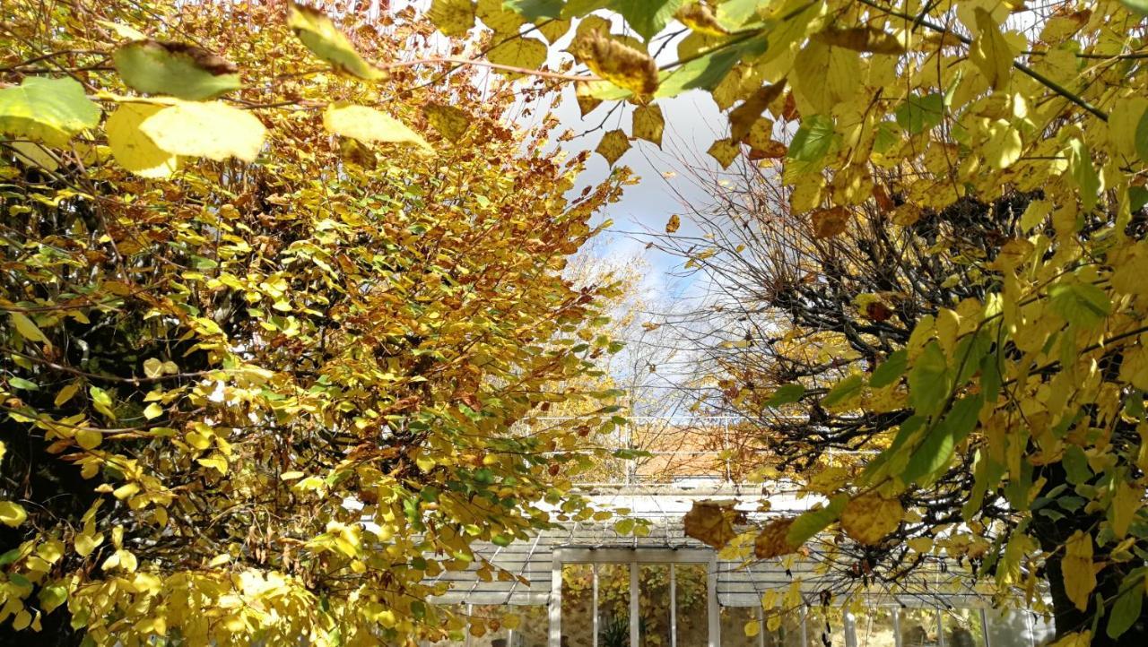 Chateau De Brinville Saint-Sauveur-sur-Ecole Exteriér fotografie