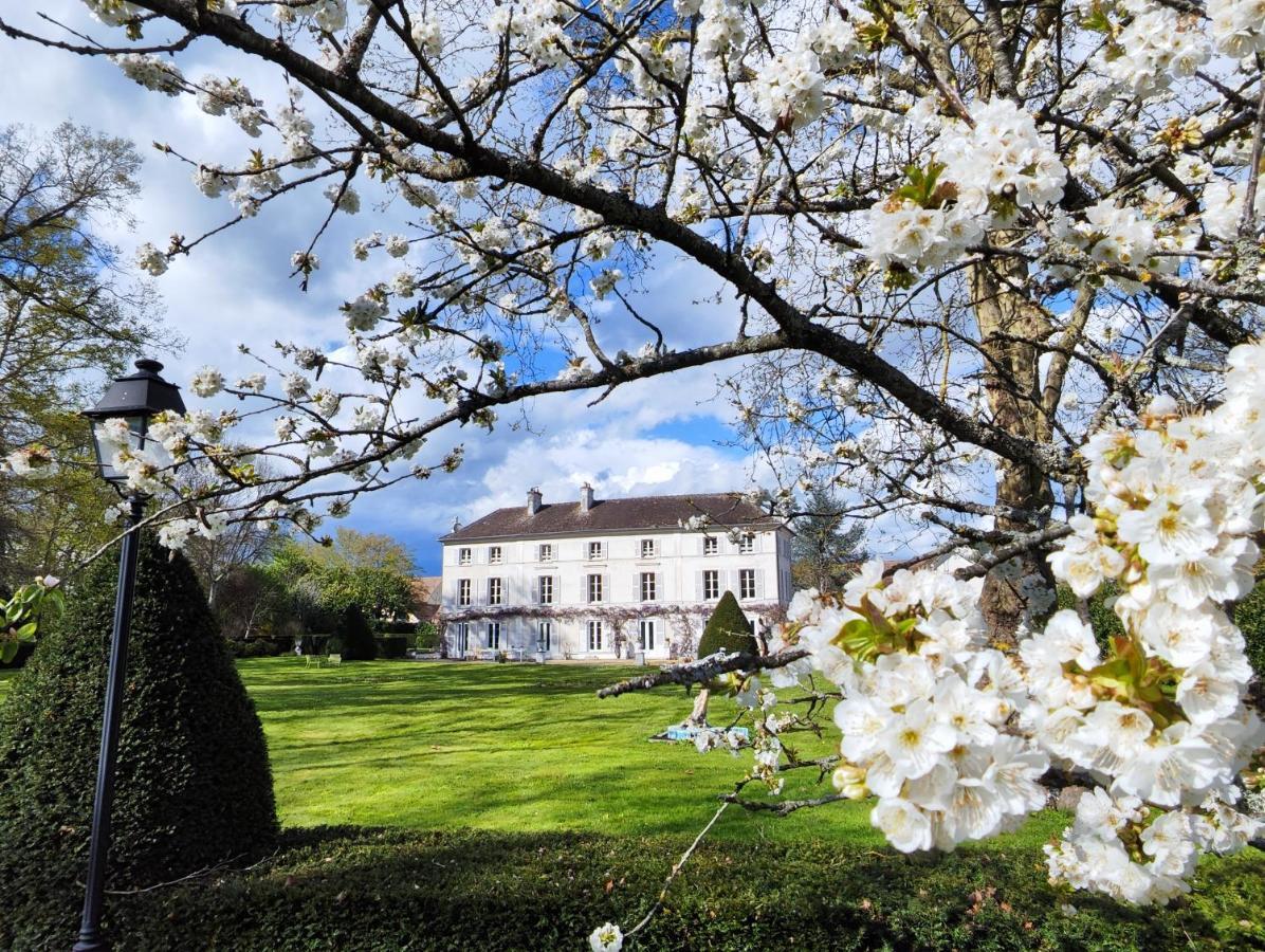 Chateau De Brinville Saint-Sauveur-sur-Ecole Exteriér fotografie